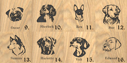 Sous-verres (lot de 4)